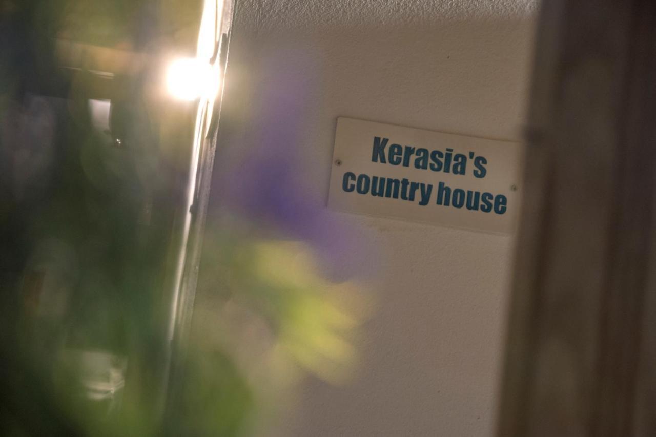 Kerasia'S Country House Apartment Volos Ngoại thất bức ảnh